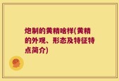 炮制的黄精啥样(黄精的外观、形态及特征特点简介)
