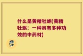 什么是黄精牡蛎(黄精牡蛎：一种具有多种功效的中药材)