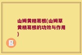 山姆黄精葛根(山姆草黄精葛根的功效与作用)