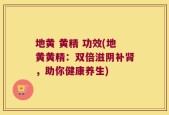 地黄 黄精 功效(地黄黄精：双倍滋阴补肾，助你健康养生)
