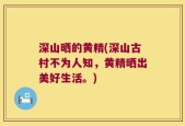 深山晒的黄精(深山古村不为人知，黄精晒出美好生活。)