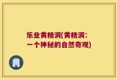 乐业黄精洞(黄精洞：一个神秘的自然奇观)