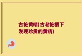 古桩黄精(古老桩根下发现珍贵的黄精)