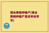 建水黄精种植户(建水黄精种植户喜迎丰收季节)