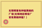 无锡哪里有种植黄精的厂家(无锡地区哪家厂家有黄精种植？)