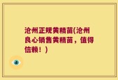 沧州正规黄精苗(沧州良心销售黄精苗，值得信赖！)