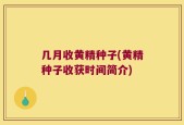 几月收黄精种子(黄精种子收获时间简介)