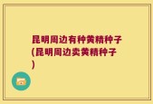 昆明周边有种黄精种子(昆明周边卖黄精种子)