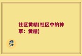 社区黄精(社区中的神草：黄精)