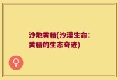沙地黄精(沙漠生命：黄精的生态奇迹)