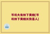 岑巩大有林下黄精(岑巩林下黄精长势喜人)