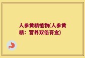 人参黄精植物(人参黄精：营养双倍膏盒)
