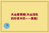 大山里黄精(大山深处的珍贵中药——黄精)