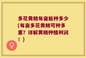 多花黄精每亩能种多少(每亩多花黄精可种多重？详解黄精种植利润！)