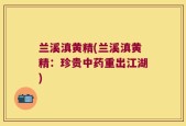 兰溪滇黄精(兰溪滇黄精：珍贵中药重出江湖)