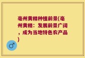 亳州黄精种植前景(亳州黄精：发展前景广阔，成为当地特色农产品)