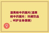 酒黄精中药图片(酒黄精中药图片：珍藏饮品，呵护全身健康)