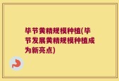 毕节黄精规模种植(毕节发展黄精规模种植成为新亮点)