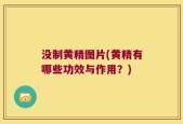 没制黄精图片(黄精有哪些功效与作用？)