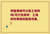 种植黄精可以用乙烯利吗(可行性探究：乙烯利对黄精的施用效果。)
