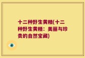 十二种野生黄精(十二种野生黄精：美丽与珍贵的自然宝藏)