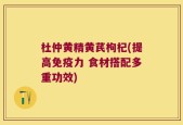 杜仲黄精黄芪枸杞(提高免疫力 食材搭配多重功效)