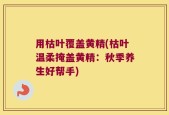 用枯叶覆盖黄精(枯叶温柔掩盖黄精：秋季养生好帮手)