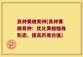 良种黄精育种(良种黄精育种：优化黄精植株形态、提高药用价值)
