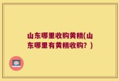 山东哪里收购黄精(山东哪里有黄精收购？)