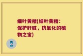 细叶黄精(细叶黄精：保护肝脏，抗氧化的植物之宝)