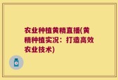 农业种植黄精直播(黄精种植实况：打造高效农业技术)