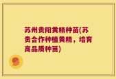 苏州贵阳黄精种苗(苏贵合作种植黄精，培育高品质种苗)