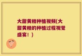 大甜黄精种植视频(大甜黄精的种植过程视觉盛宴！)