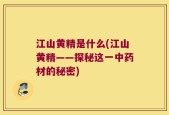 江山黄精是什么(江山黄精——探秘这一中药材的秘密)