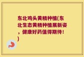 东北鸡头黄精种植(东北生态黄精种植展新姿，健康好药值得期待！)