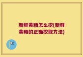 新鲜黄精怎么挖(新鲜黄精的正确挖取方法)