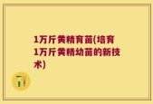 1万斤黄精育苗(培育1万斤黄精幼苗的新技术)