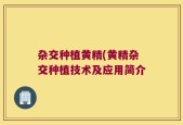 杂交种植黄精(黄精杂交种植技术及应用简介
