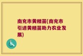南充市黄精苗(南充市引进黄精苗助力农业发展)