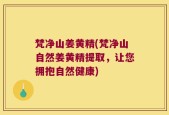 梵净山姜黄精(梵净山自然姜黄精提取，让您拥抱自然健康)