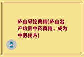 庐山采挖黄精(庐山出产珍贵中药黄精，成为中医秘方)