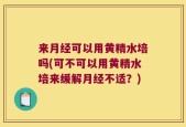 来月经可以用黄精水培吗(可不可以用黄精水培来缓解月经不适？)