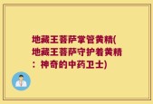 地藏王菩萨掌管黄精(地藏王菩萨守护着黄精：神奇的中药卫士)