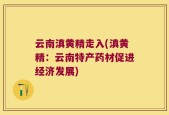 云南滇黄精走入(滇黄精：云南特产药材促进经济发展)