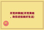 开荒种黄精(开荒黄精，助你迎接美好生活)