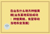 在山东什么地方种植黄精(山东某地实验成功：种植黄精，有望带动当地农业发展)
