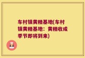 车村镇黄精基地(车村镇黄精基地：黄精收成季节即将到来)