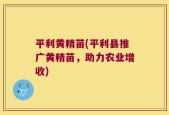 平利黄精苗(平利县推广黄精苗，助力农业增收)