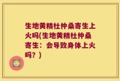 生地黄精杜仲桑寄生上火吗(生地黄精杜仲桑寄生：会导致身体上火吗？)
