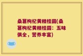 桑葚枸杞黄精桂圆(桑葚枸杞黄精桂圆：五味俱全，营养丰富)